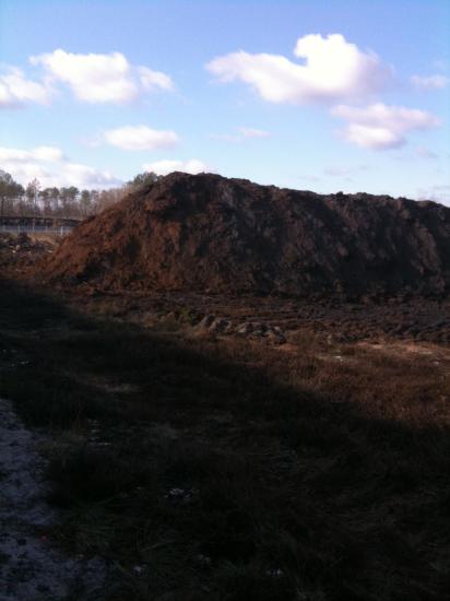 Construction de la Dune